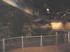 Museumtank.jpg (39158 bytes)